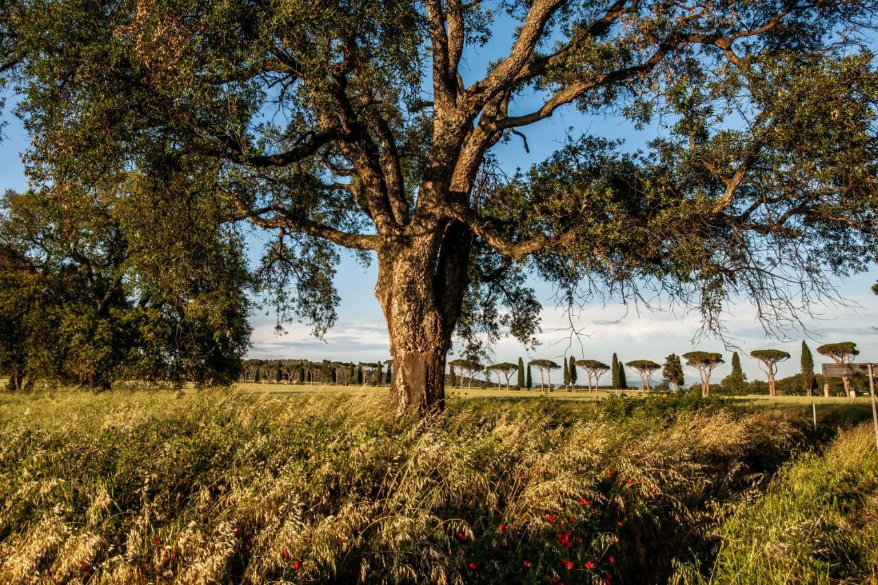 Podere Cernaia Refugium Countryhouse المظهر الخارجي الصورة