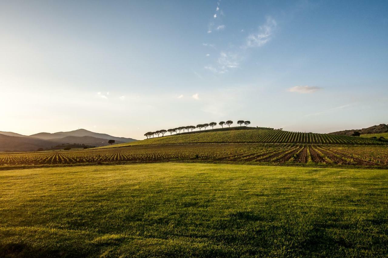 Podere Cernaia Refugium Countryhouse المظهر الخارجي الصورة